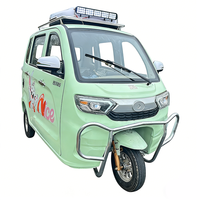Tricycle Électrique Adulte Mini EV à Cabine Fermée 4 Portes, Kit de Suspension Arrière Personnalisée 1500W 2000W, Tuk Tuk Cargo et Passagers à Trois Roues