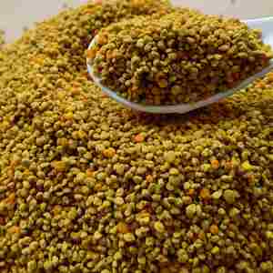 Pólen de Abeja de Colza Mixto de Alta Calidad, Nuevo y Fresco, 100% Puro, Pólen de Abeja Crudo en Polvo, Venta al por Mayor a Granel - Product Image 2