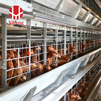 Cage à poules pondeuses de type H à 5 niveaux pour 200 oiseaux, cage en batterie entièrement automatique, équipement d'élevage avicole, poulailler galvanisé à chaud