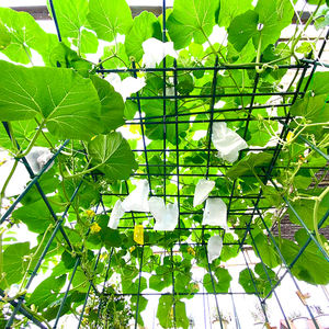 Tuinpalen Klimplant Ondersteunt Decoratieve Plantenkooien Stalen Buizen Tuinsteunen - Product Image 2