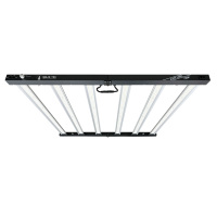 Lampe de culture LED Hydroponic Veg Bloom LM281b Pro 630W en aluminium pour usage intérieur