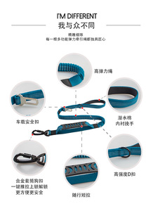 Correa Elástica Reflectante de Nailon Sólido para Perros, Correa para Mascotas con Absorción de Impactos y Clip para Pasear y Entrenar - Product Image 6