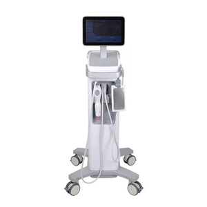 Sistema Fraccional No Invasivo Therm Flx de Quinta Generación para Tratamiento Antiarrugas No Invasivo <span class=keywords><strong>Vline</strong></span> - Product Image 1