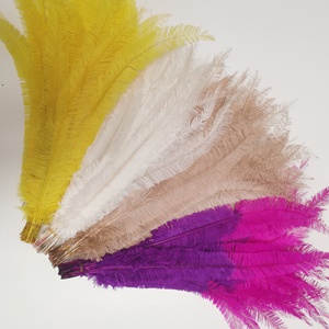 Suministro de fábrica 55-60cm Avestruz afeitado <span class=keywords><strong>Nandu</strong></span> Pluma de avestruz recortada para disfraz de Carnaval Mochilas Milllnery Sombreros Decoraciones - Product Image 1