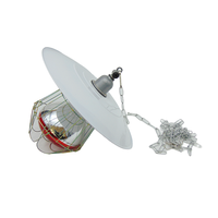 Réchauffeur de couveuse pour poussins poussins plaque chauffante avec hauteur et angle réglables 175W couveuse de poulet chaude comme mère poule
