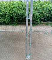 Poulailler multifonctionnel en acier galvanisé 10x6FT avec poulailler pour élevage de poulets, neuf