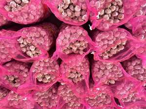 Ajo affresco Caj De 10 kg Ajo Chino - Product Image 4