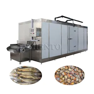 China Manufacturer Tunnel Freezer Seafood / Burger Quick Freezing Tunnel / Fruit Blast Freezer Professional