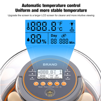 Couveuse automatique à œufs de capacité de 12 œufs pour le contrôle de la température et de l'humidité des poussins à couver avec fenêtre transparente à 360 degrés