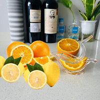 Gratis Monster Keukengereedschap Limoen Squeezer Acryl Crystal Manual Juicer Exprimidor De Limon Clear Bird Citroenpers