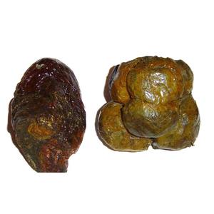 Fournisseur de plantes médicinales chinoises, propolis <span class=keywords><strong>d</strong></span>'<span class=keywords><strong>abeille</strong></span> brute, propolis verte naturelle à vendre - Product Image 5