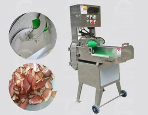 Commerciële Dubbele Messen Gekookt Vleessnijmachine Voor Het Snijden Van Geroosterd Varkensvlees/Pens/Vette Worst/TJ-304B Van Rundvlees