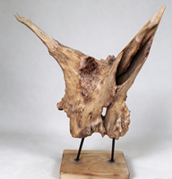 Statue d'arbre abstrait en racine naturelle, sculpture unique sur socle en bois pour la décoration de table d'hôtel et de villa