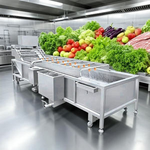 Lavadora de frutas y verduras Bacion de rendimiento estable, Spinner de lavado de frutas - Product Image 1