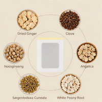 Patch de Moxibustion au Gingembre Herbal Certifié CE Classe I – Soulagement des Douleurs Articulaires, Lombaires et Cervicales chez les Personnes Âgées – Anti-Rhumatismal – Plâtre Chinois