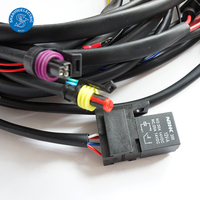 Harnais de câblage de moto personnalisé pour les clients, harnais de câblage de vélo électrique, harnais de câblage haute tension, harnais de câblage de sécurité ADAS