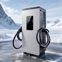 Cargador Público para Vehículos Eléctricos de 120kW CC, OCPP 1.6J, Red Inteligente, Carga Rápida, CCS1/CCS2 Tipo 2, Estación EVSE, Nuevo, IP55 Impermeable, 4G/Wi-Fi