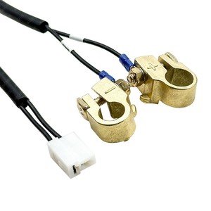 Custom Electric Motorcycle <b>Battery</b> Cable With Copper <b>Terminal</b> Clamps For <b>Battery</b> Connection - Product Image 1