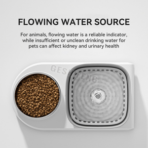 Dispenser air otomatis 2 in 1, Dispenser air minum kucing dan mangkuk makanan untuk kucing dan anjing - Product Image 4