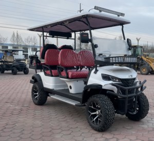 2026 CE Certified Factory Sightseeing 6-Seater Electric Golf Cart <strong>Black</strong> Model with 48v Battery Steel Material New Model <strong>Buggy</strong> - Product Image 2