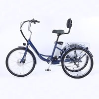 Vélo de plage 24 pouces vélo électrique adulte 800w 15Ah batterie au lithium-fer fourche avant à pression d'huile conduite en ville