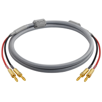 Câble de haut-parleur Hifi en cuivre OFC pour audio et vidéo fiches bananes plaquées or gaine en PVC vente en gros pour ordinateur