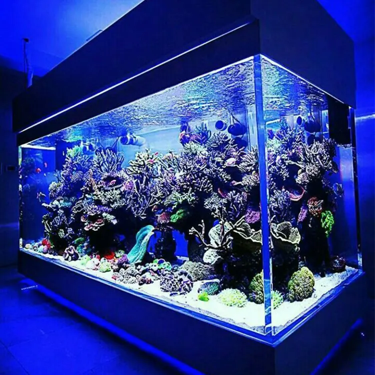Transparent modern large rectangular plastic acrylic fish tank complete set  Hot Sale Aquarium Fish Tank Made of Acrylic Sheet$