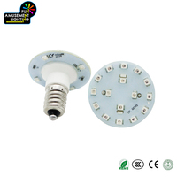 Alibaba 2025 Popular luz LED impermeable AC24V SMD LED Pixel lámpara E14 3528 luces de punto para parque temático IP65 cuerpo de plástico