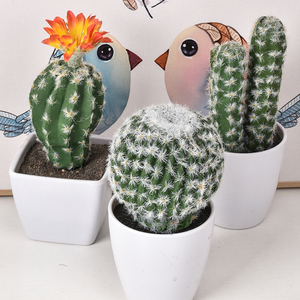 Petite plante artificielle <span class=keywords><strong>en</strong></span> <span class=keywords><strong>pot</strong></span>, cactus, plante de simulation pour la décoration de bureau moderne et simple, mini succulente artificielle, bricolage - Product Image 2
