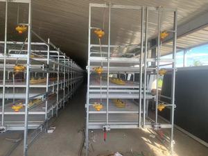 Yeni durum otomatik tavuk kafesi tavuk damızlık ekipmanları için çiftlik <span class=keywords><strong>H</strong></span> tipi pil kafesi tavuk kümesi - Product Image 4
