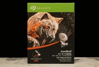 ST4000NE001 IronWol f Pro 4 To 7200RPM Disque dur SATA 3.5 pouces