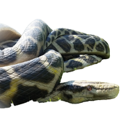 Modèle d'animal serpent animatronique unique et réaliste, serpent grandeur nature, produits d'animation, animaux serpents électriques avec télécommande