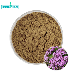 Fournisseur d'extrait de thym de qualité alimentaire naturel, poudre d'extrait de thym, poudre de thym - Product Image 1