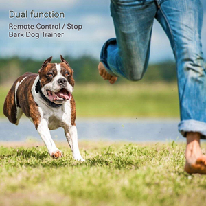 Personalizzabile ad alta potenza multifunzione Smart Shock elettrico per animali domestici - Product Image 4