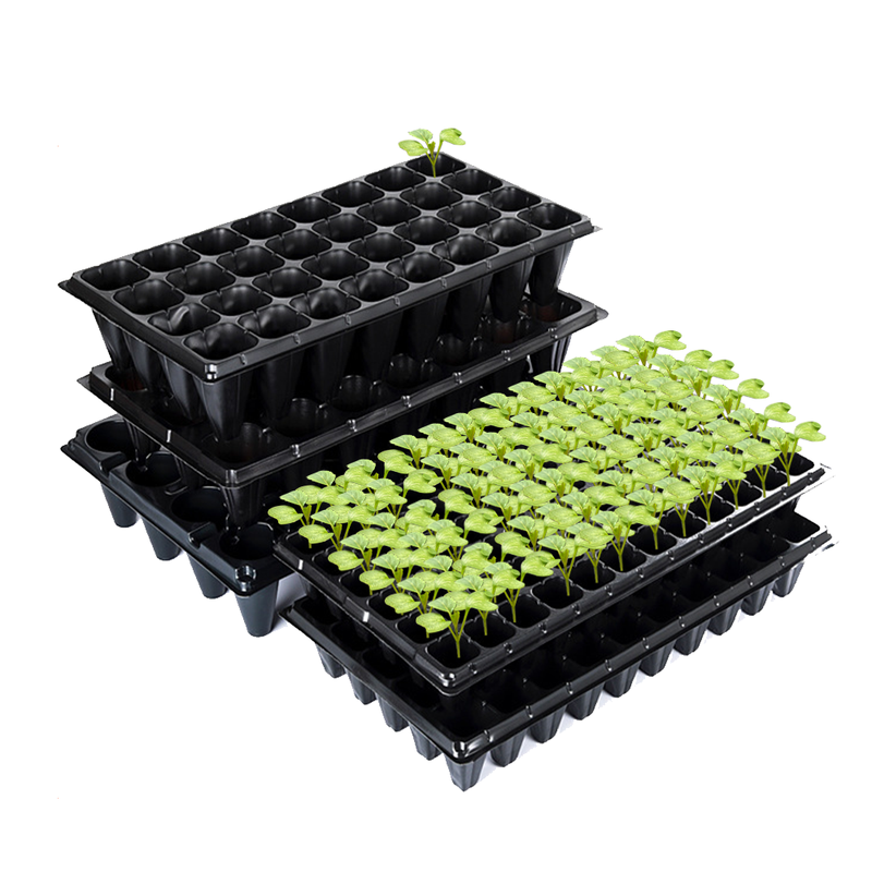 Thickened PET Plastic Nursery Seedling Trays
