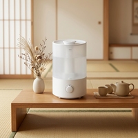 Humidificateur Électrique de Bureau à Brume Froide, Commande par Bouton, Capacité 4L, Garantie 1 An, pour Bureau et Usage Domestique, Stérilisation