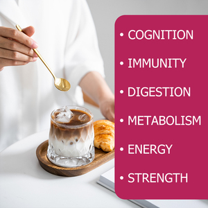 Bebida de Proteína Personalizada para la Recuperación Muscular, Refuerzo del Sistema Inmunitario, Suplemento Nutricional en Polvo con Sabor a Chocolate - Product Image 2