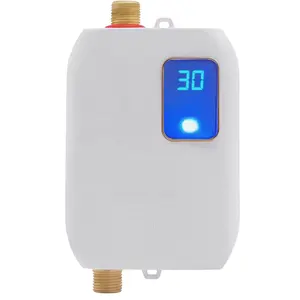 Mini-Warmwasser bereiter, 110V sofortiger elektrischer Durchlauferhitzer, elektrischer Warmwasser bereiter für Küchen bad Heimgebrauch 3000W