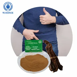 40:1 Cistanche Tubulosa Extract Nature Supplement Herbal Plant Cistanche 100% Nature Cistanche Extract For Prostate Health