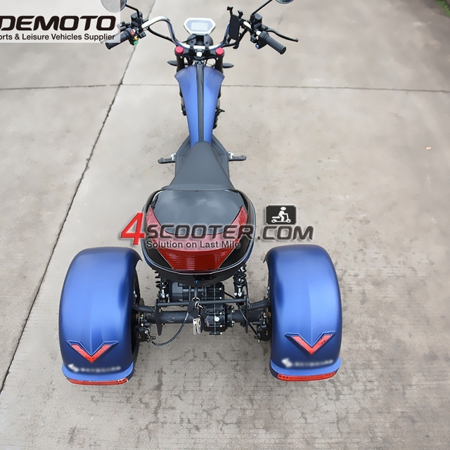 Adult 3 Wheel Electric Mobility Scooter ES8009
