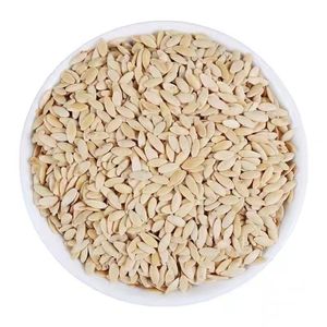 Semi di Cetriolo di Alta Qualità per Alimenti Animali (Cucurbita Sativa) per Pollame, Bestiame e Animali Domestici, Confezione in Sacchetto da kg - Product Image 1