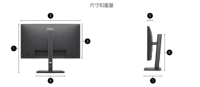 Écran d'affichage de bureau Dell P2426H 23,8 pouces, technologie IPS haute définition, 120 Hz, support réglable
