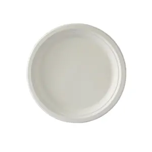 Best price 10 INCH Composable Biodegradable Sugarcane bagasse paper plate disposable take away plates