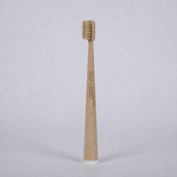 Brosse à dents en bois jetable à poils souples, taille standard, pour usage hôtelier au Zhejiang, manuelle, à touffes de forme spéciale