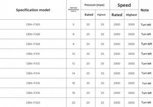 Cbn-F300 ציוד הידראולי בלחץ גבוה ללבוש משאבת שמן להתאמה אישית - Product Image 6