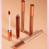 Gloss à lèvres repulpant et modelant effet miroir, longue tenue, waterproof, hydratant, non collant