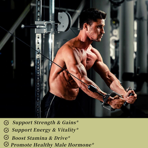 Cápsulas de Suplemento Herbal <span class=keywords><strong>Tes</strong></span> Tboost Max OEM ODM, Apoyan el Aumento de la Fuerza, Energía, Vitalidad, Resistencia y Energía para Adultos - Product Image 4
