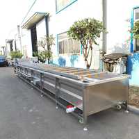 RVS-belletjesreinigingsmachine voor chili, granaatappel, jujube, dadels, vis, wortel, salade, wasapparatuur