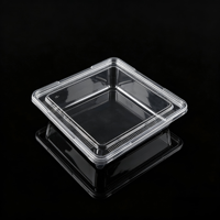 Boîte à gâteau transparente en PET de qualité alimentaire, recyclable, avec couvercle côtelé pour présentation de sushis et de gelées - Personnalisation OEM pour boulangeries, cafés et plats à emporter