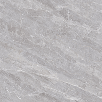 Carrelage en porcelaine aspect marbre gris classique 800x800mm, facile à nettoyer, imperméable, pour sol, mur, salon, hôtel